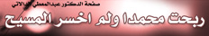 ربحت محمدا
