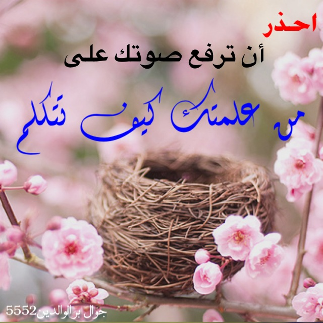 التي علمتك كيف تتكلم