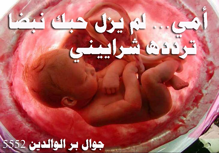 أمي لم يزل حبك نبضا