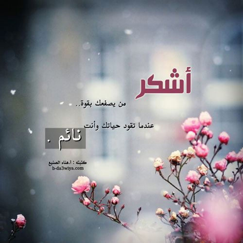 اضغط هنا لتكبير الصورة