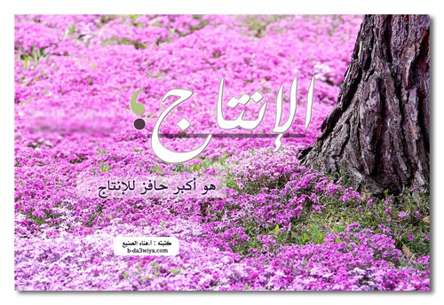 اضغط هنا لتكبير الصورة