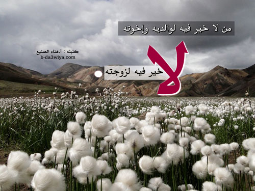 اضغط هنا لتكبير الصورة