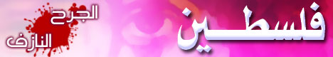 فلسطين والحل الإسلامي