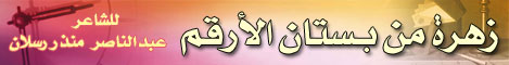 الشاعر عبدالناصر منذر رسلان